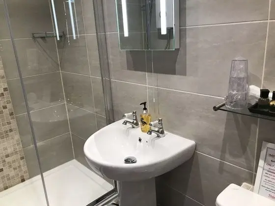 Tek Büyük Yataklı Oda, 1 En Büyük (King) Boy Yatak