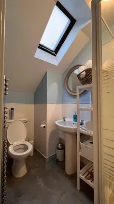 Tek Büyük Yataklı Oda, Banyolu/Duşlu (Room 4)