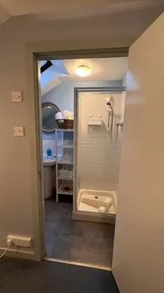 Tek Büyük Yataklı Oda, Banyolu/Duşlu (Room 4)