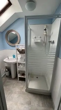 Tek Büyük Yataklı Oda, Banyolu/Duşlu (Room 4)