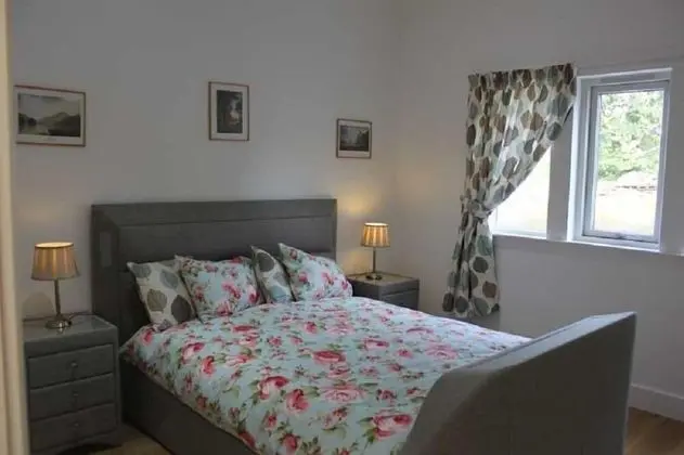 Deluxe Tek Büyük Yataklı Oda (TV Bed)