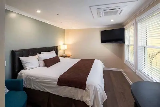 Deluxe Oda, 1 En Büyük (King) Boy Yatak