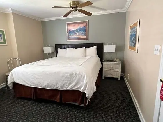 Deluxe Oda, 1 En Büyük (King) Boy Yatak