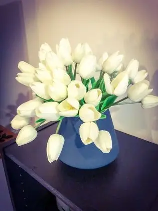 Standard Süit, 1 Yatak Odası, Sigara İçilmez, Küçük Mutfak (Sarah Jayne Cottage)
