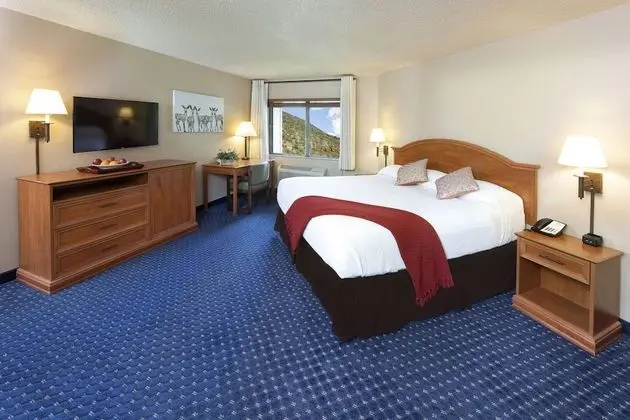 Standard Room, 1 King Bed--Not Pet Friendly