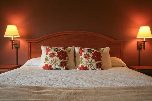 Standard Room, 1 King Bed--Not Pet Friendly