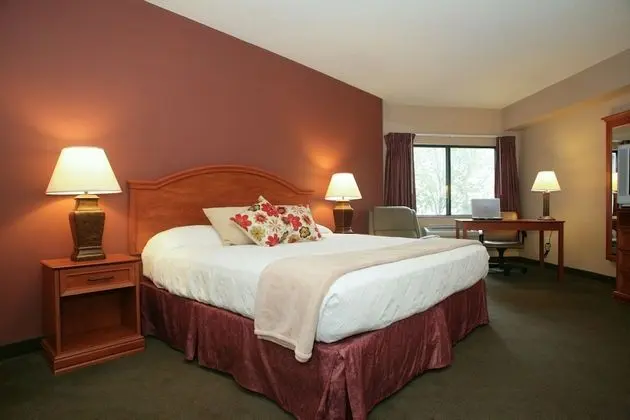 Standard Room, 1 King Bed--Not Pet Friendly