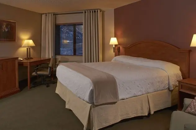 Standard Room, 1 King Bed--Not Pet Friendly