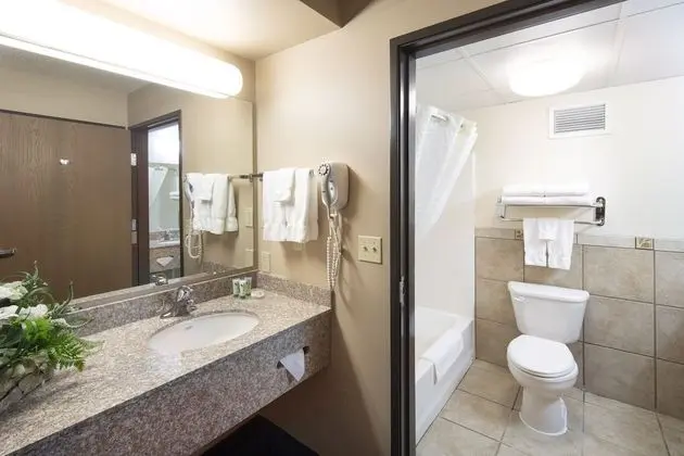 Standard Room, 1 King Bed--Not Pet Friendly