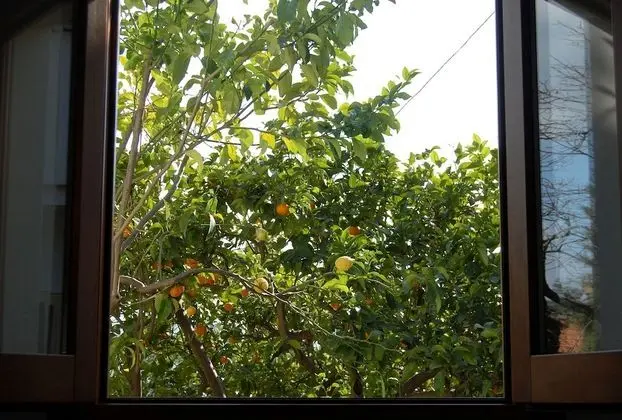 Tek Büyük Yataklı Oda, Bahçe Manzaralı