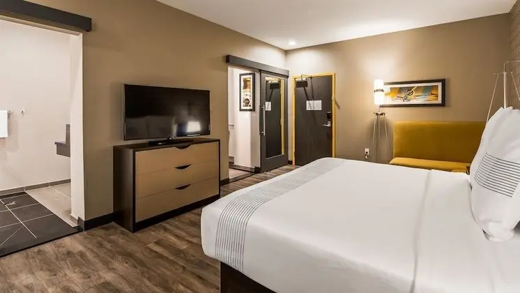 Standard Oda, 1 En Büyük (King) Boy Yatak, Engellilere Uygun, Sigara İçilmez (Walk-in Shower)