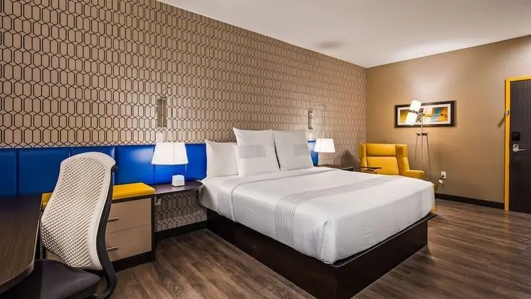 Standard Oda, 1 En Büyük (King) Boy Yatak, Engellilere Uygun, Sigara İçilmez (Walk-in Shower)