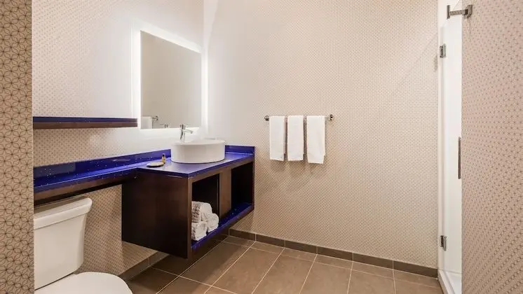 Standard Oda, 1 En Büyük (King) Boy Yatak, Sigara İçilmez, Buzdolabı