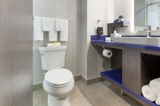 Standard Oda, 1 En Büyük (King) Boy Yatak, Sigara İçilmez (Walk-in Shower;with Sofabed)