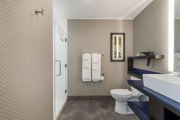 Standard Oda, 1 En Büyük (King) Boy Yatak, Sigara İçilmez, Buzdolabı ve Mikrodalga (Shower Only)