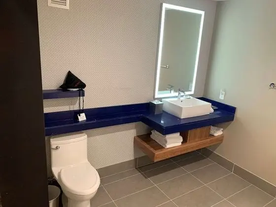 Standard Oda, 1 En Büyük (King) Boy Yatak, Sigara İçilmez (Shower Only)