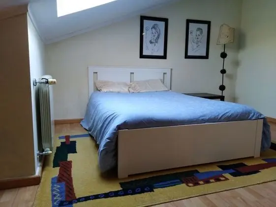 Tek Büyük Yataklı Oda, Ortak Banyo (2)