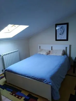 Tek Büyük Yataklı Oda, Ortak Banyo (2)