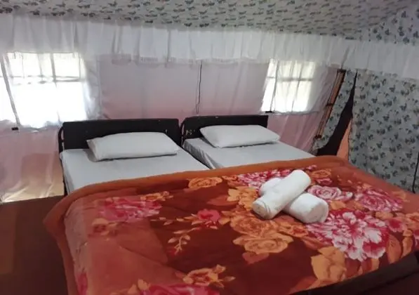 Deluxe Çadır