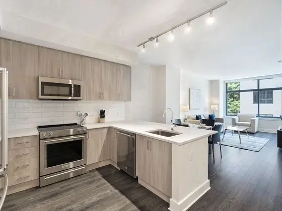 Luxury Apart Daire, 1 Büyük (Queen) Boy Yatak ve Çekyat