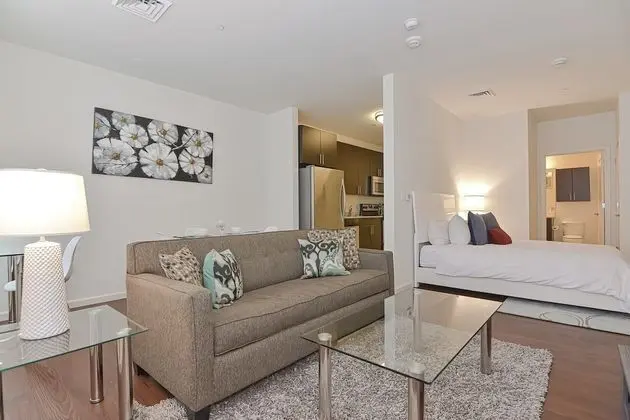 Luxury Stüdyo, 1 Büyük (Queen) Boy Yatak ve Çekyat