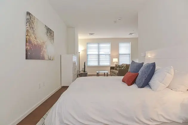 Luxury Stüdyo, 1 Büyük (Queen) Boy Yatak ve Çekyat