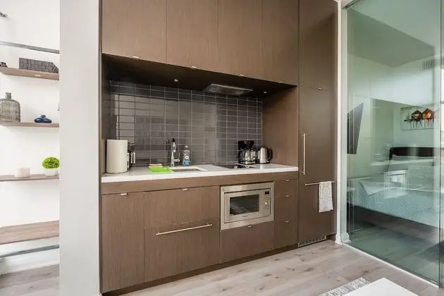 Business Apart Daire, 1 Yatak Odası, Balkon, Şehir Manzaralı