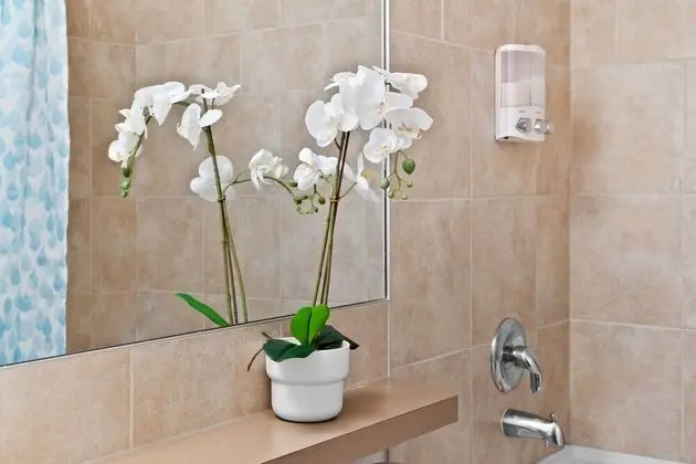 Premier Apart Daire, 2 Yatak Odası, Balkon