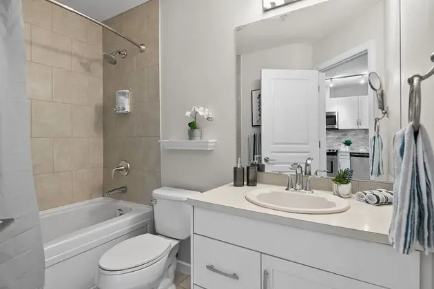Comfort Apart Daire, 1 Yatak Odası, Mutfak, Şehir Manzaralı