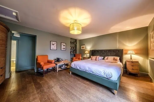 Premium Tek Büyük Yataklı Oda (Pet Friendly)