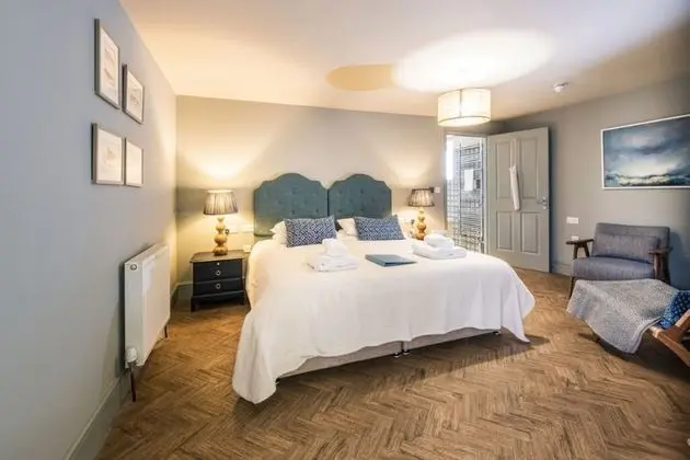 Premium Tek Büyük Yataklı Oda (Pet Friendly)
