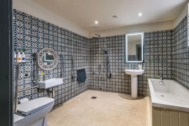 Premium Tek Büyük Yataklı Oda (Pet Friendly)