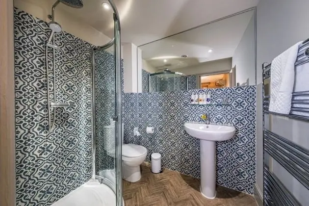 Premium Tek Büyük Yataklı Oda (Pet Friendly)
