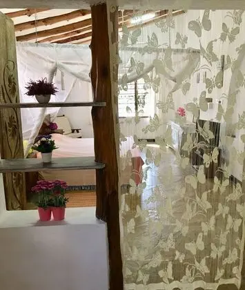 Comfort Stüdyo Süit, Birden Çok Yatak, Havuz Manzaralı