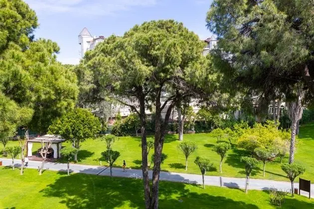 Junior Suite Oda