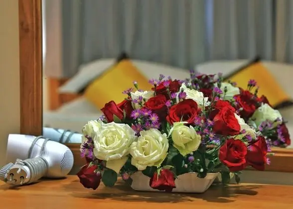 Junior Süit, Engellilere Uygun