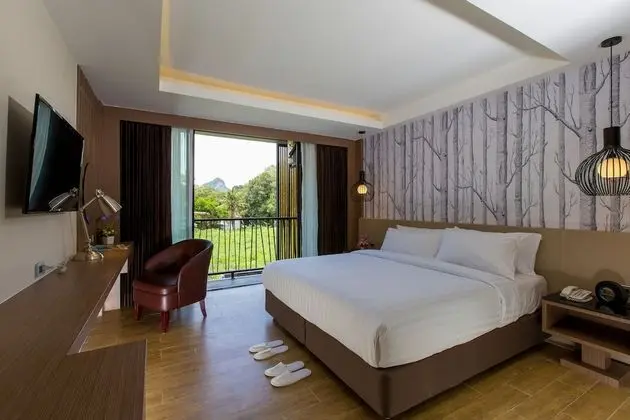 Deluxe King Room