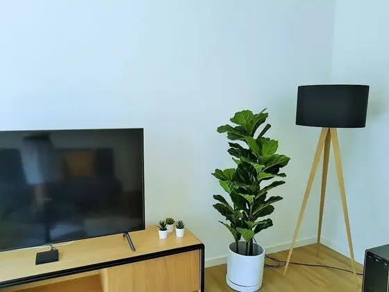 Basic Apart Daire (incl. 75€ Cleaning Fee)