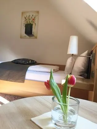 Comfort Tek Kişilik Oda, Resort Manzaralı