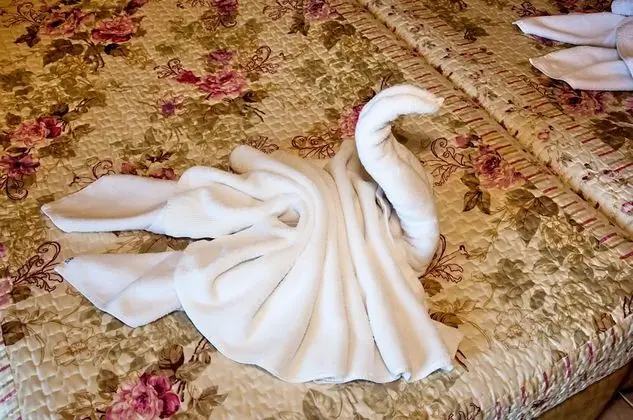 Tek Büyük veya İki Ayrı Yataklı Oda, Dağ Manzaralı