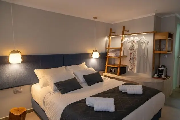 Standard Tek Büyük veya İki Ayrı Yataklı Oda (Semi Basement)