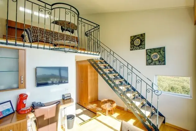 Executive Tek Büyük Yataklı Oda, Okyanus Manzaralı