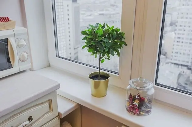 Superior Apart Daire, 1 Yatak Odası