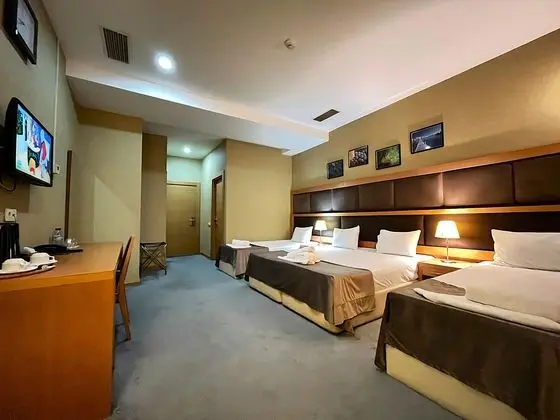 Deluxe Tek Büyük Yataklı Oda, 1 En Büyük (King) Boy Yatak, Şehir Manzaralı