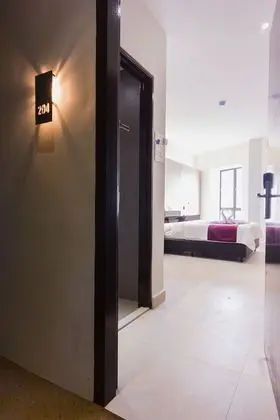 Superior Tek Büyük Yataklı Oda