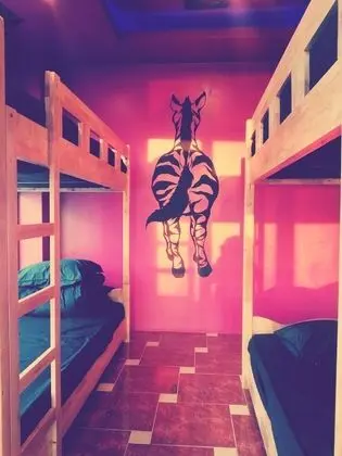 Ortak Ranzalı Oda, Sadece kadınlar için (6 persons)