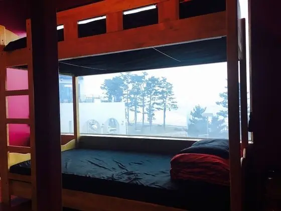 Ortak Ranzalı Oda, Sadece kadınlar için (6 persons)