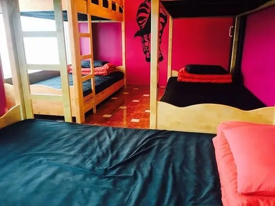 Ortak Ranzalı Oda, Sadece kadınlar için (6 persons)