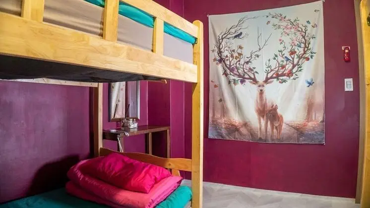 Ortak Ranzalı Oda, Sadece erkekler için (4 Person)