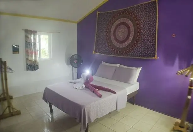 Enlightenment and Sunbeam room - Garden View